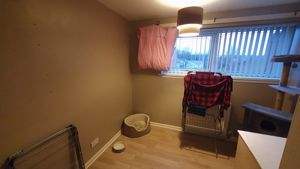 Photo 14- click for photo gallery